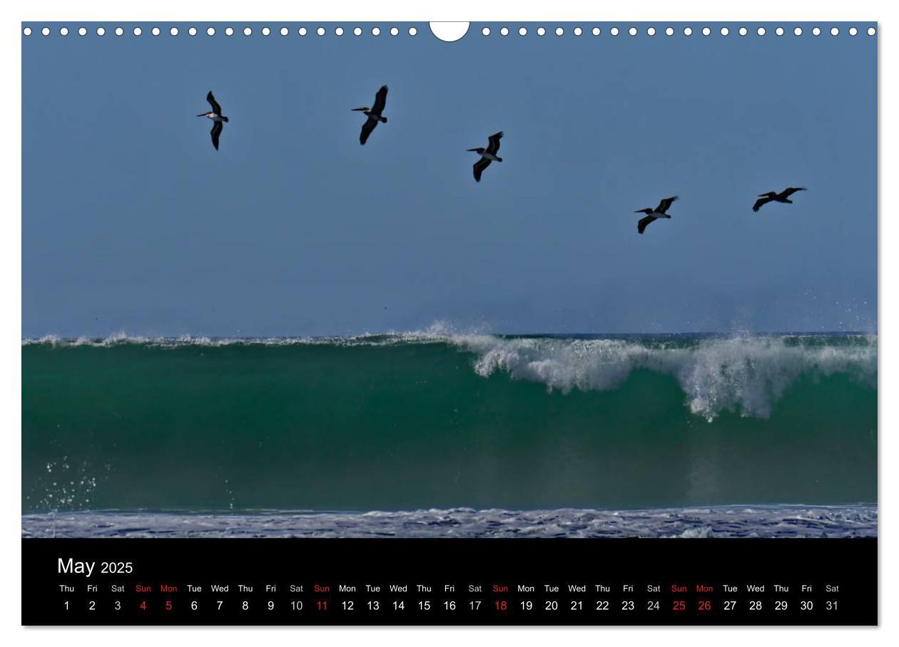 Bild: 9781325962259 | California Coasline (Wall Calendar 2025 DIN A3 landscape), CALVENDO...