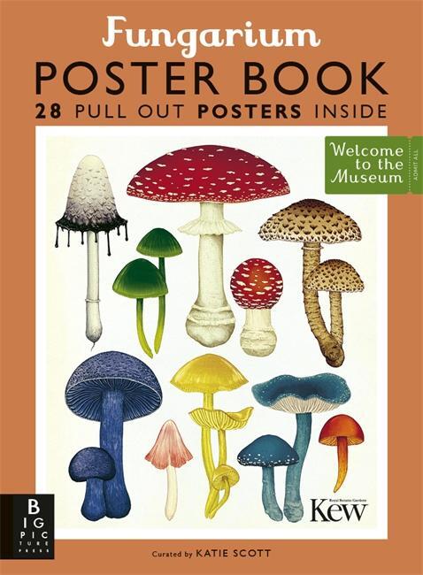 Cover: 9781787418288 | Fungarium Poster Book | Ester Gaya | Taschenbuch | Englisch | 2021