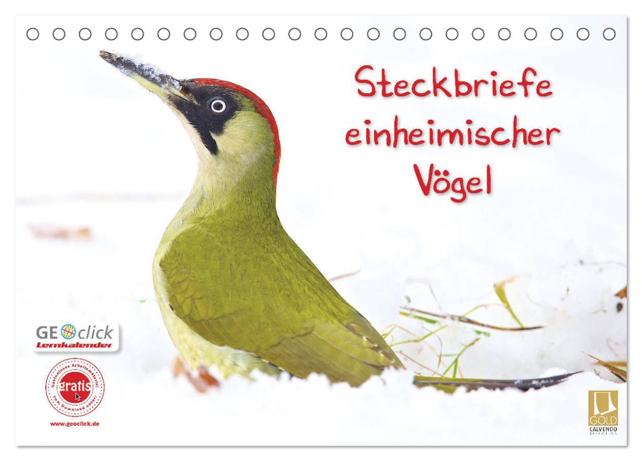 Cover: 9783435636792 | Steckbriefe einheimischer Vögel (Tischkalender 2025 DIN A5 quer),...