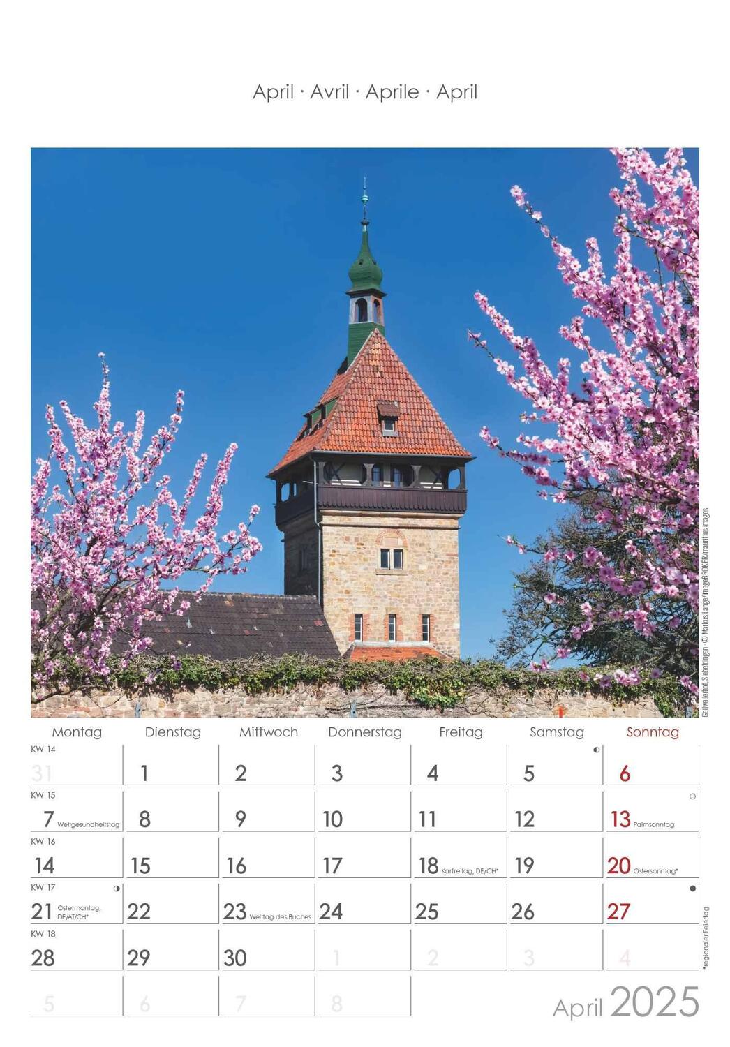 Bild: 4251732343200 | Rheinland-Pfalz 2025 - Bild-Kalender 23,7x34 cm - Regional-Kalender...