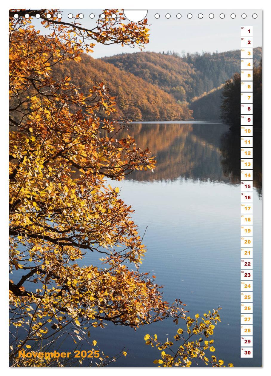 Bild: 9783435945481 | EIFEL - Kraftorte Wald und Wasser (Wandkalender 2025 DIN A4 hoch),...