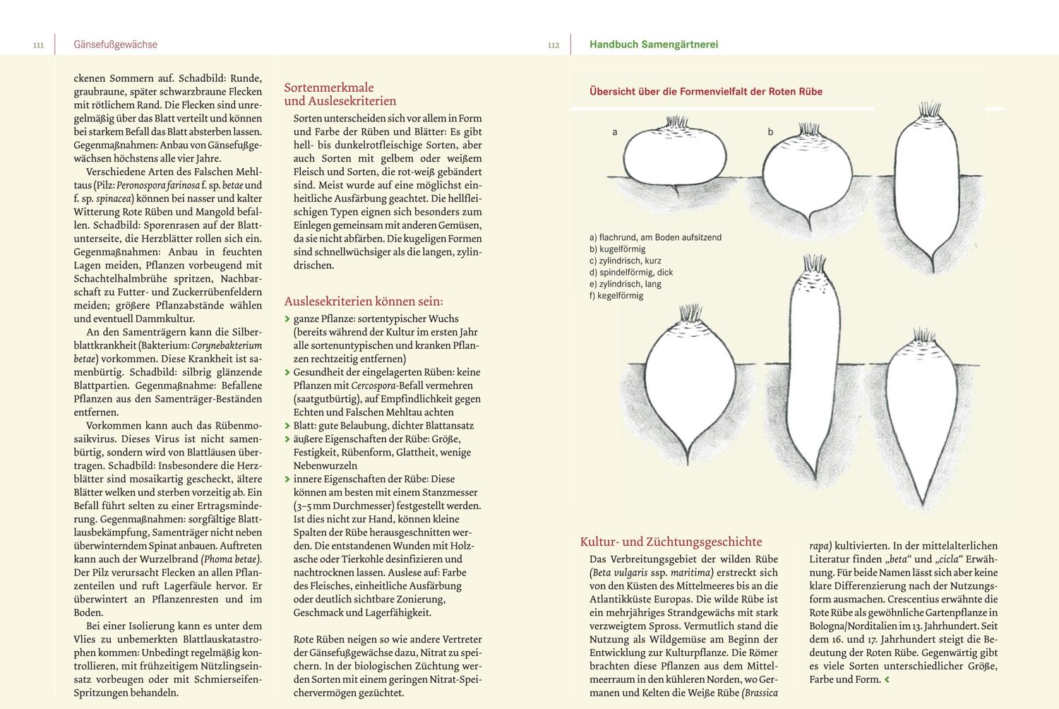 Bild: 9783706623520 | Handbuch Samengärtnerei | Andrea Heistinger | Buch | 424 S. | Deutsch