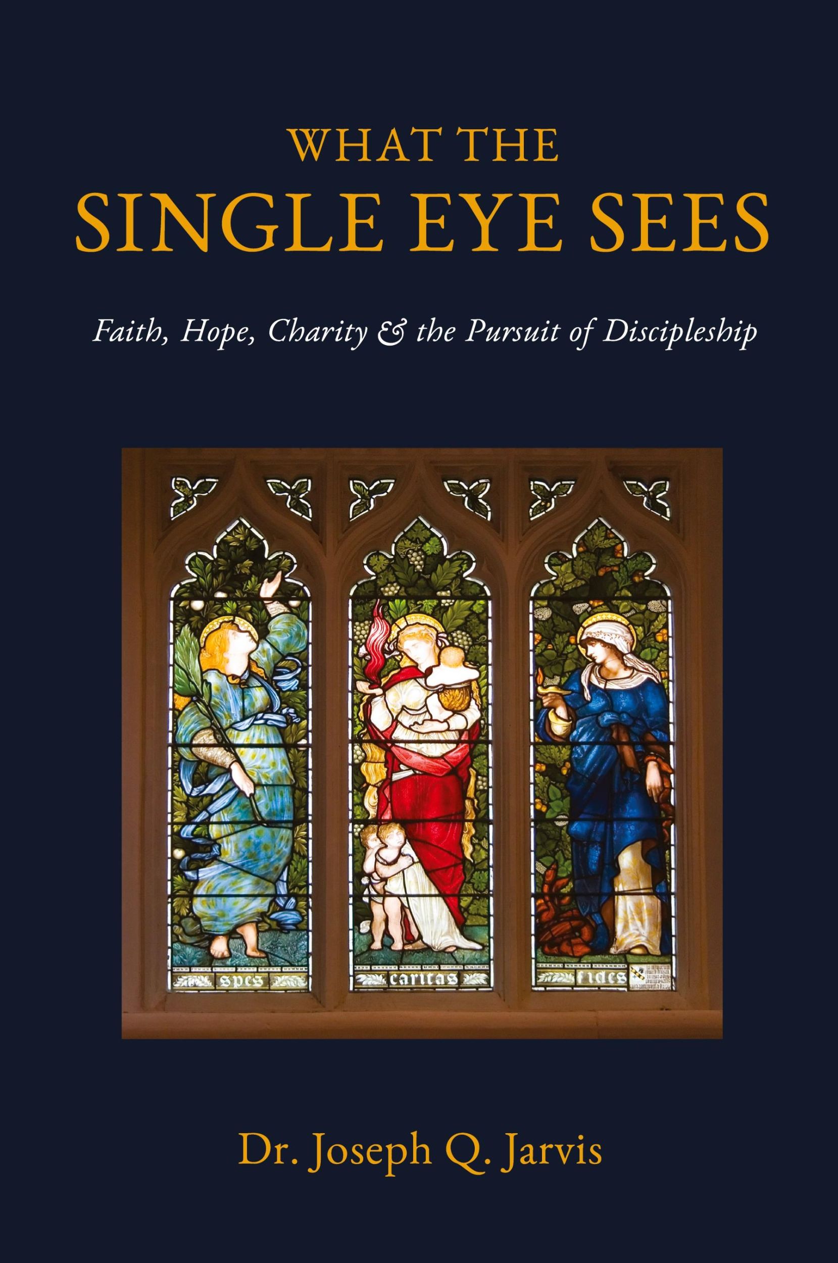 Cover: 9781949165067 | What the Single Eye Sees | Joseph Q. Jarvis | Taschenbuch | Englisch