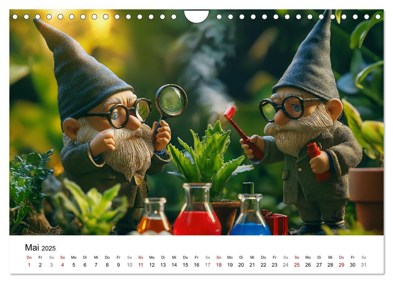 Bild: 9783457204108 | Berufe der Gartenzwerge (Wandkalender 2025 DIN A4 quer), CALVENDO...