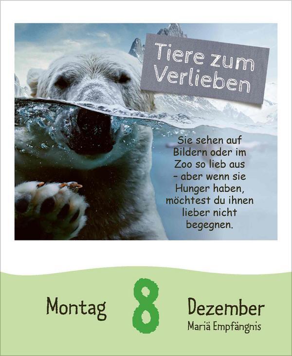 Bild: 9783731880554 | Coole Ideen für Kids 2025 | Verlag Korsch | Kalender | 328 S. | 2025