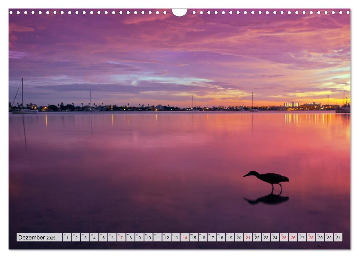 Bild: 9783435819966 | FLORIDA Malerischer Sonnenscheinstaat (Wandkalender 2025 DIN A3...