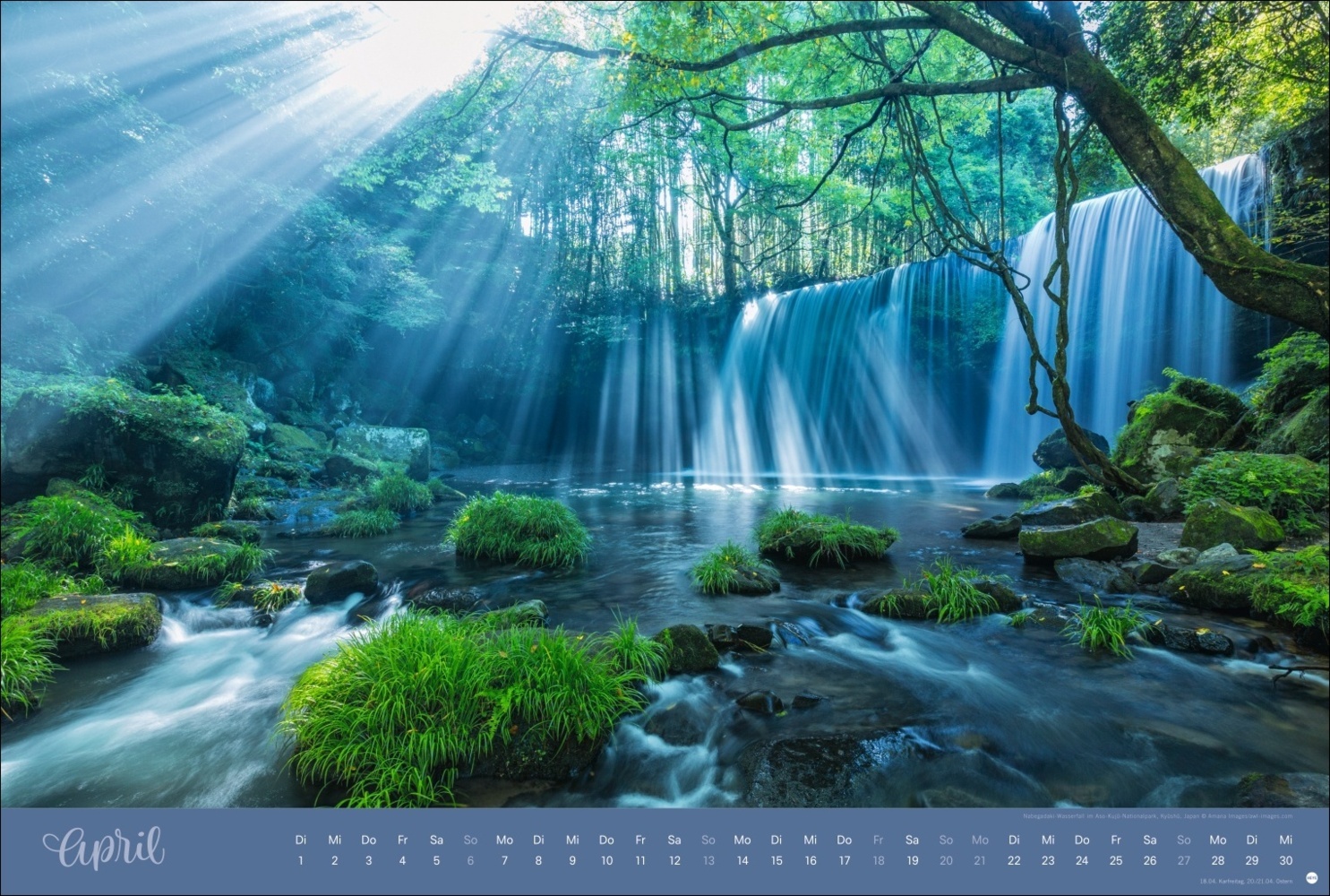 Bild: 9783756404759 | Zauberwälder Edition Kalender 2025 | Kalender | Spiralbindung | 15 S.