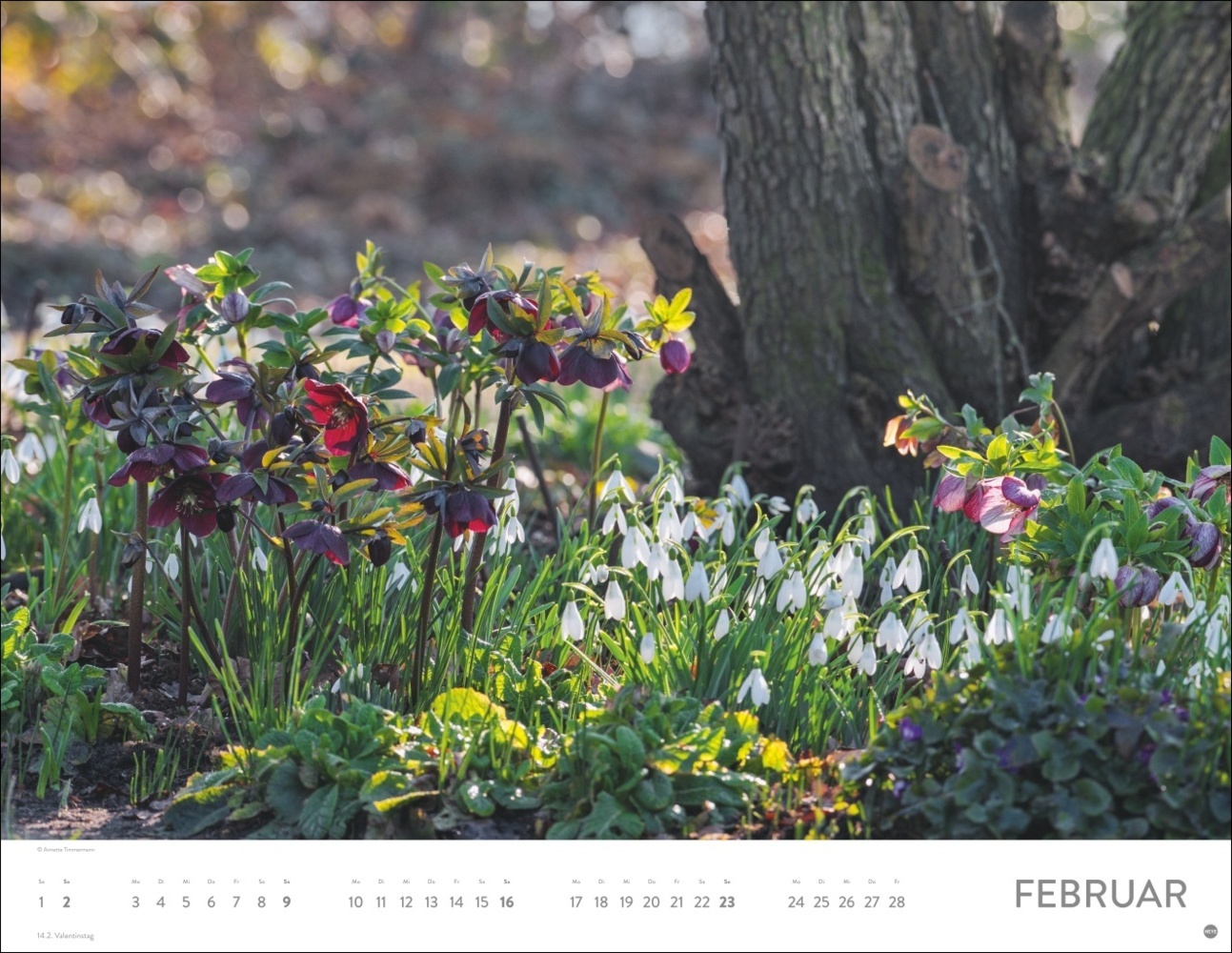 Bild: 9783756405046 | Gartenparadies Posterkalender 2025 | Kalender | Spiralbindung | 14 S.