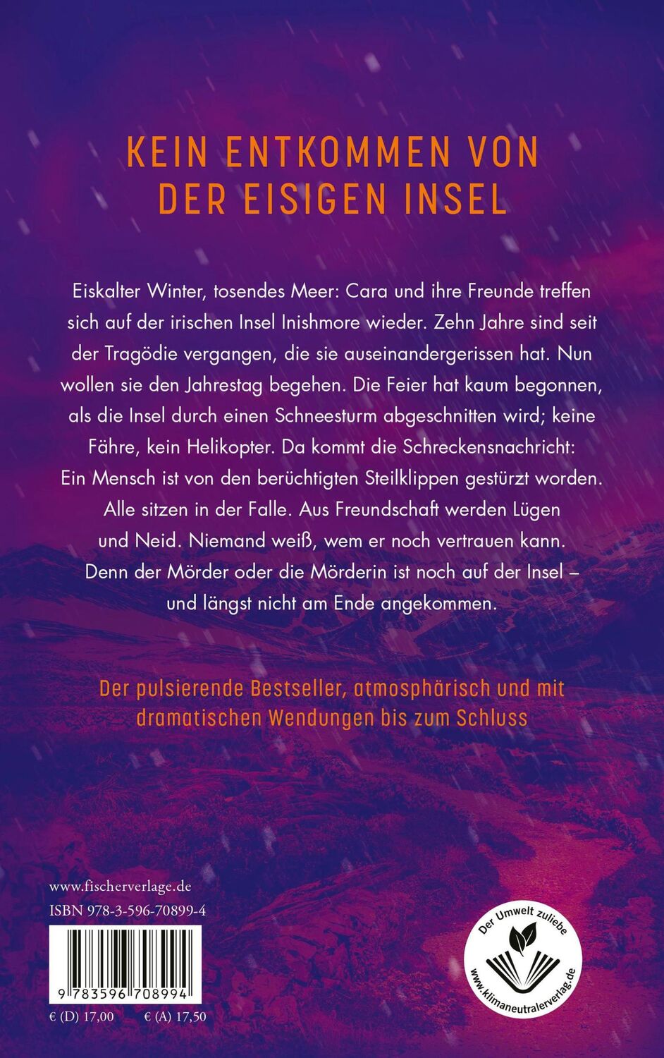 Rückseite: 9783596708994 | Schneesturm | Tríona Walsh | Taschenbuch | 384 S. | Deutsch | 2023