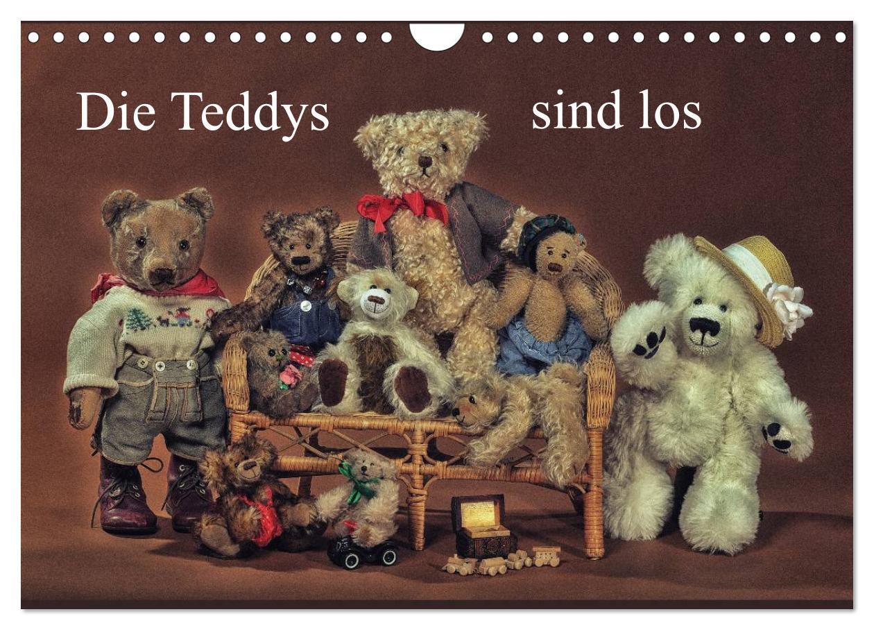 Cover: 9783435627592 | Die Teddys sind los (Wandkalender 2025 DIN A4 quer), CALVENDO...