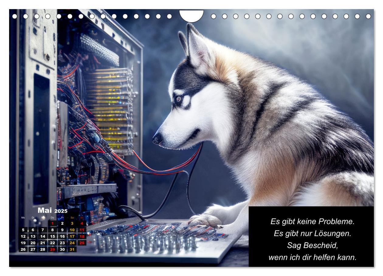 Bild: 9783435639878 | Der tierisch lustige Husky Kalender (Wandkalender 2025 DIN A4...