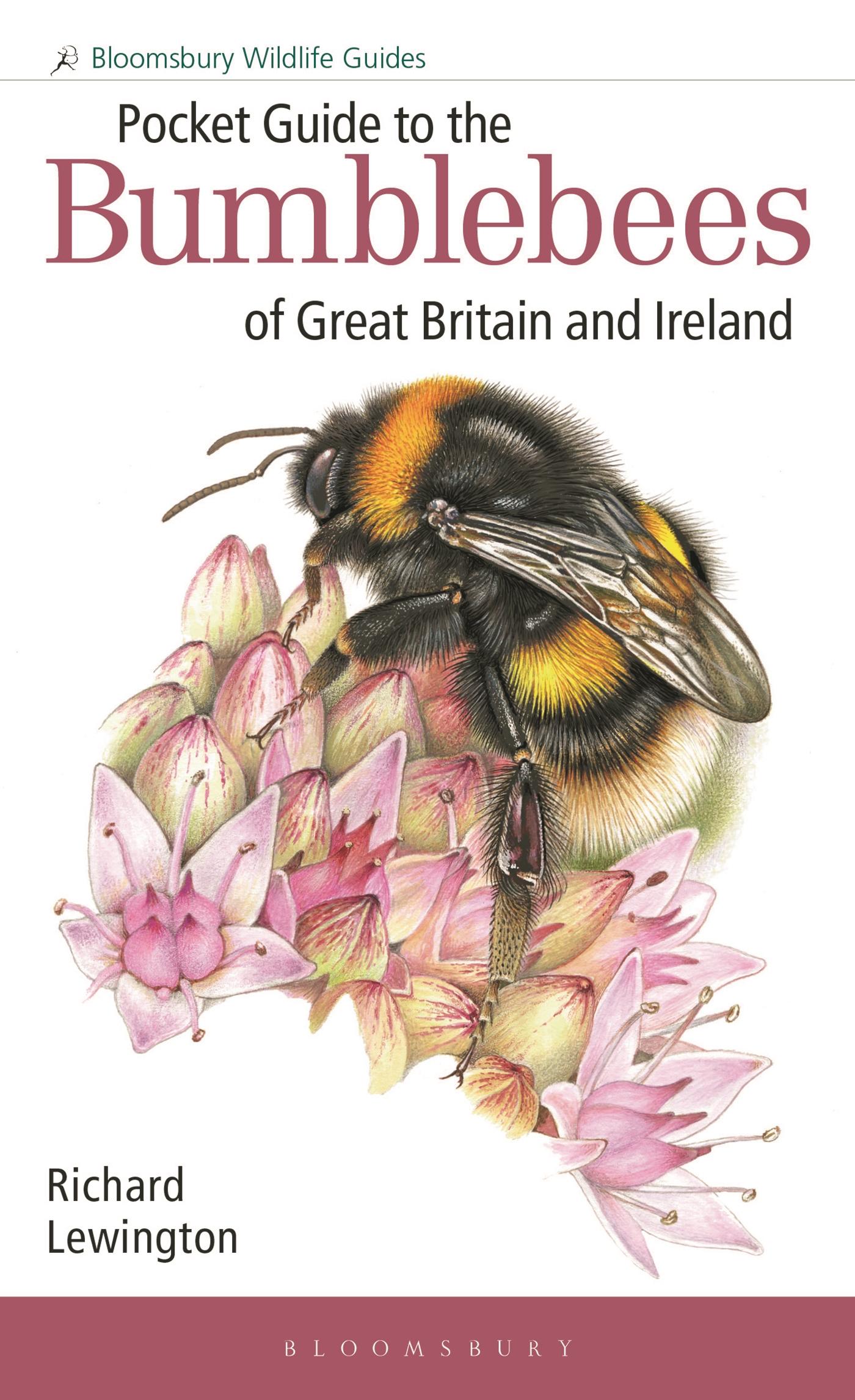 Cover: 9781472993595 | Pocket Guide to the Bumblebees of Great Britain and Ireland | Buch