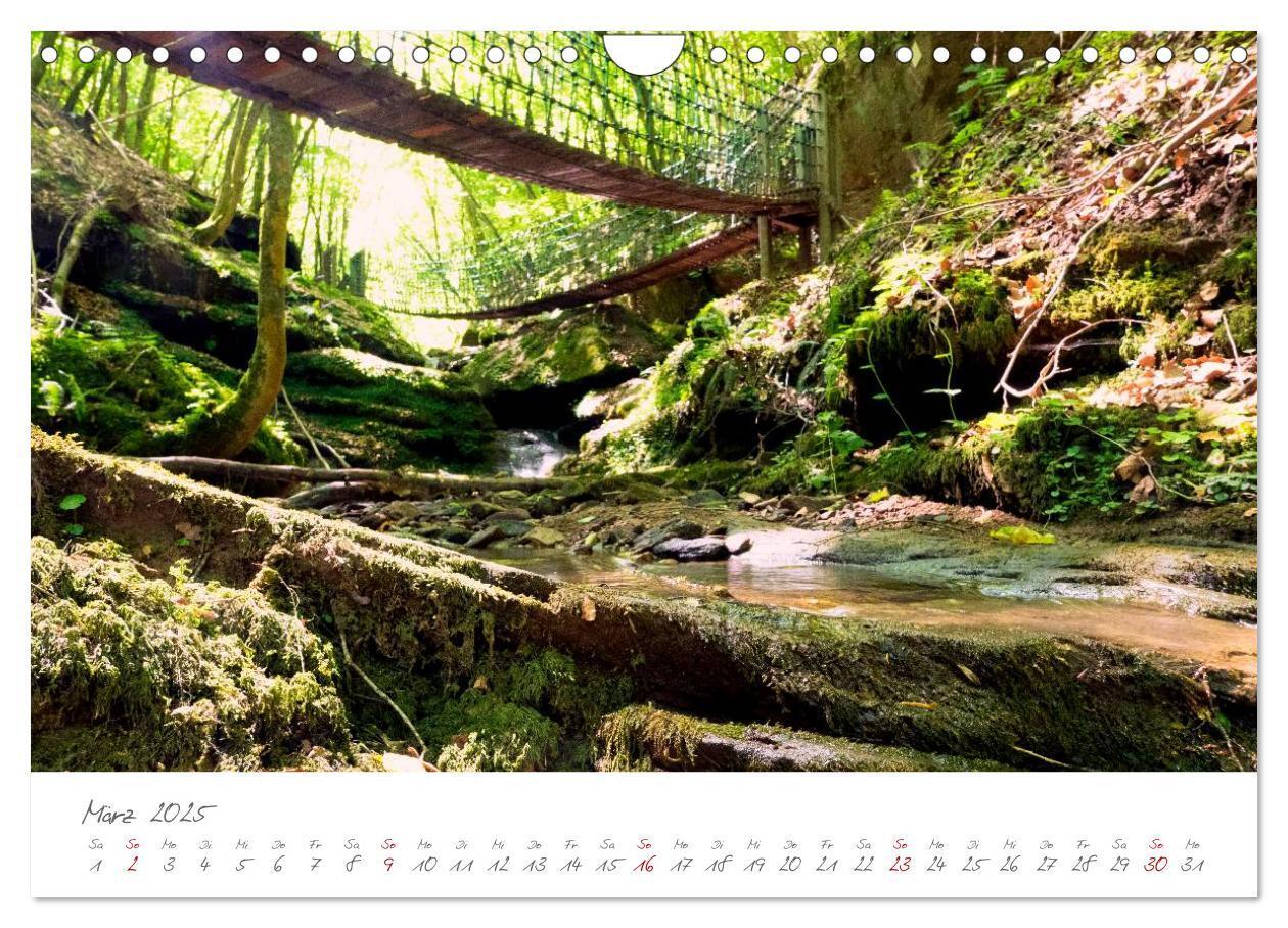 Bild: 9783435580941 | Erlebnis Eifel (Wandkalender 2025 DIN A4 quer), CALVENDO...