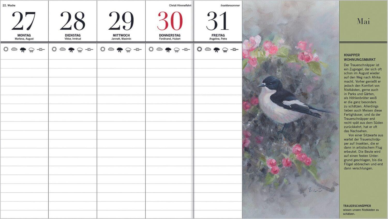 Bild: 9783784357737 | Der illustrierte Vogelkalender 2025 | Niklas Aronsson | Kalender