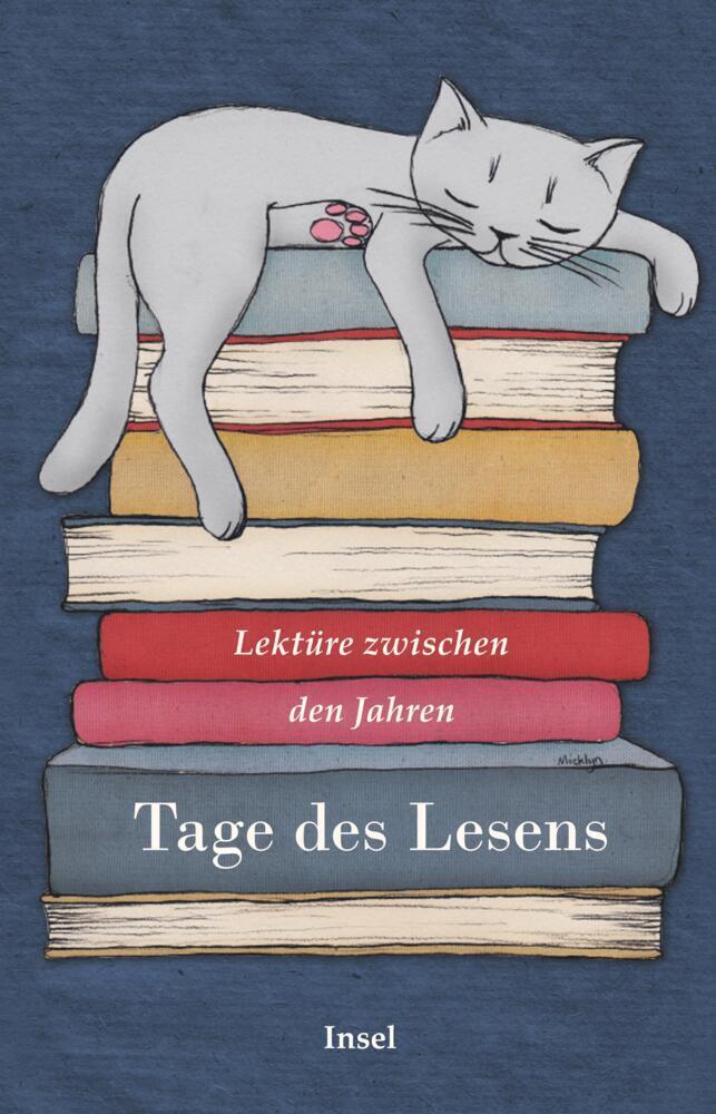 Cover: 9783458681632 | Lektüre zwischen den Jahren - Tage des Lesens | Gesine Dammel | Buch