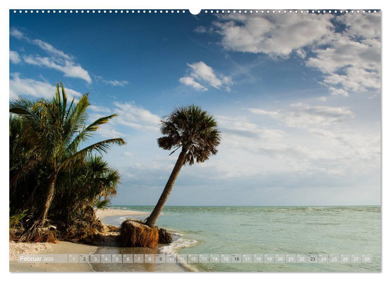 Bild: 9783435601912 | Florida. Sonne und Meer (Wandkalender 2025 DIN A2 quer), CALVENDO...