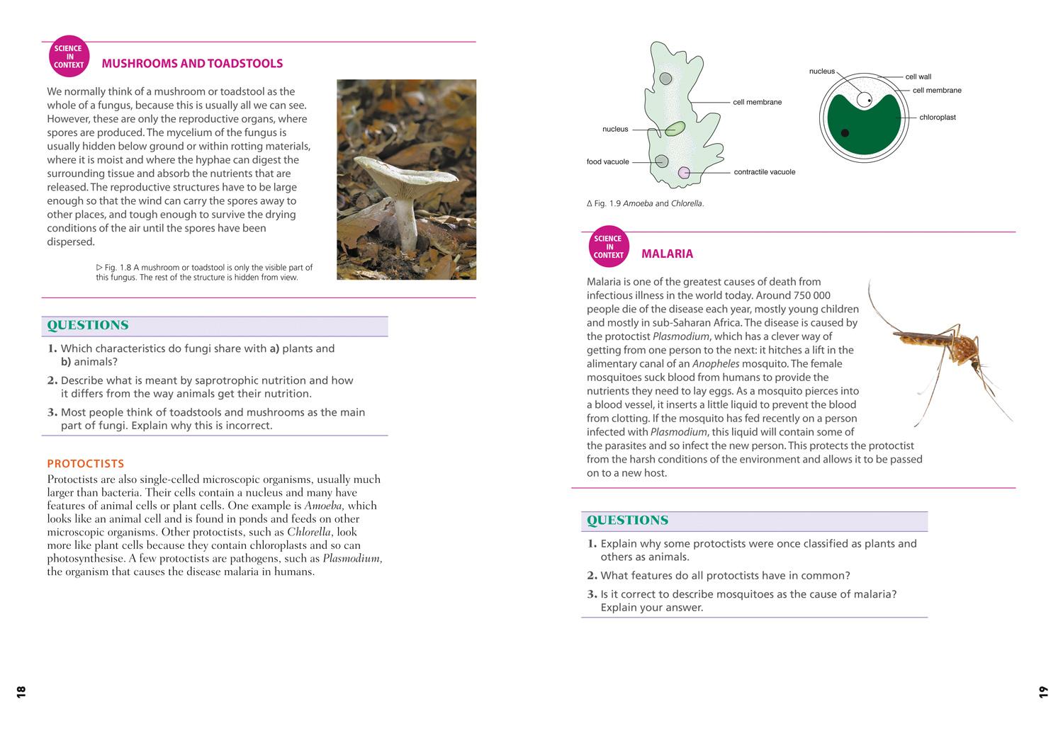 Bild: 9780008236199 | Edexcel International GCSE (9-1) Biology Student Book | Price (u. a.)