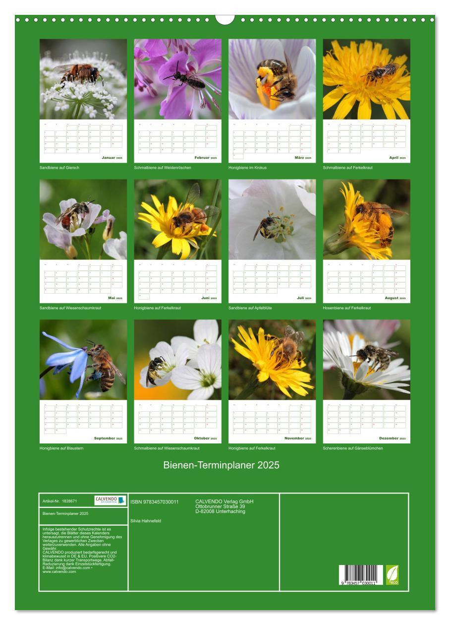 Bild: 9783457030011 | Bienen-Terminplaner 2025 (Wandkalender 2025 DIN A2 hoch), CALVENDO...