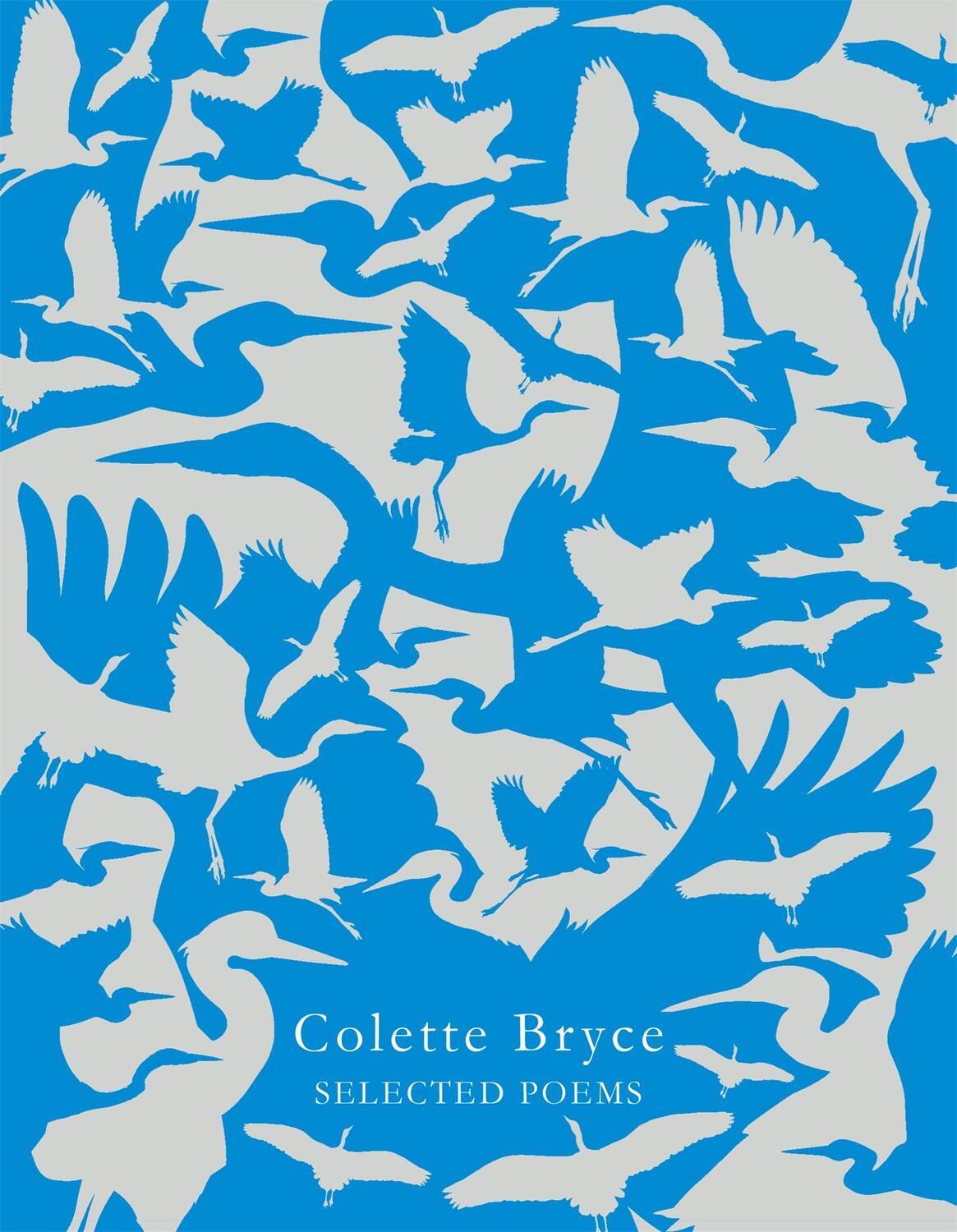 Cover: 9781509840380 | Selected Poems | Colette Bryce | Taschenbuch | Kartoniert / Broschiert