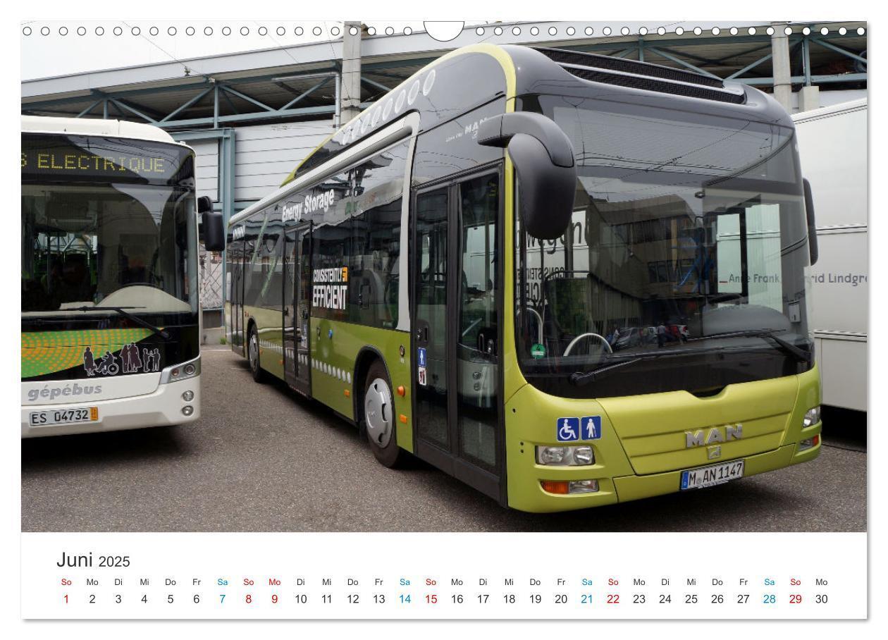 Bild: 9783383829925 | Omnibusse im Fokus (Wandkalender 2025 DIN A3 quer), CALVENDO...