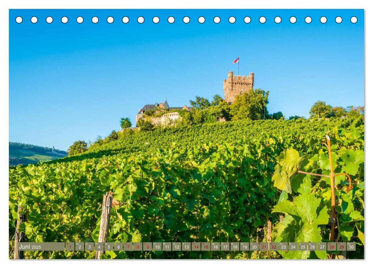 Bild: 9783435388066 | Rheinhessen-Impressionen (Tischkalender 2025 DIN A5 quer), CALVENDO...