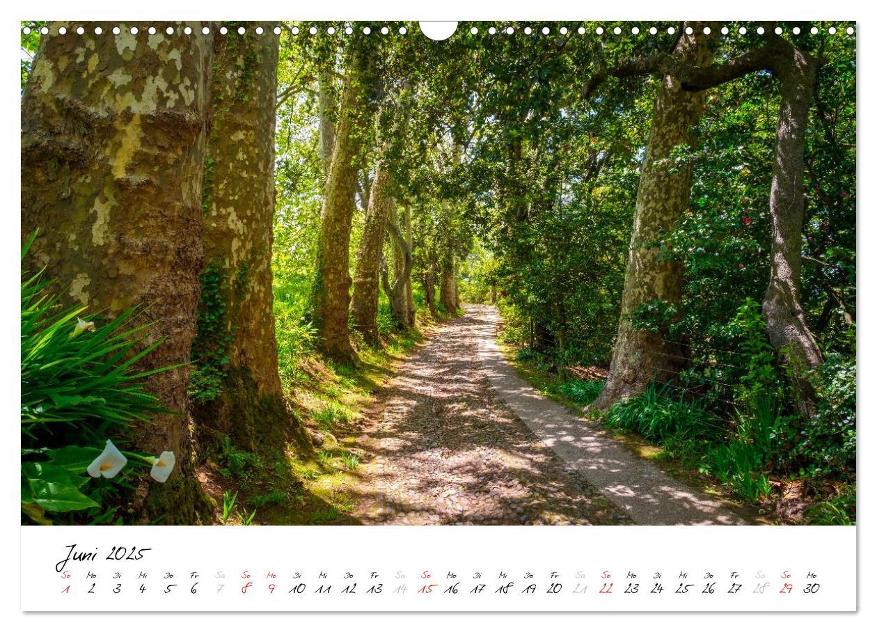 Bild: 9783435561933 | Madeira - ewiger Frühling (Wandkalender 2025 DIN A3 quer), CALVENDO...