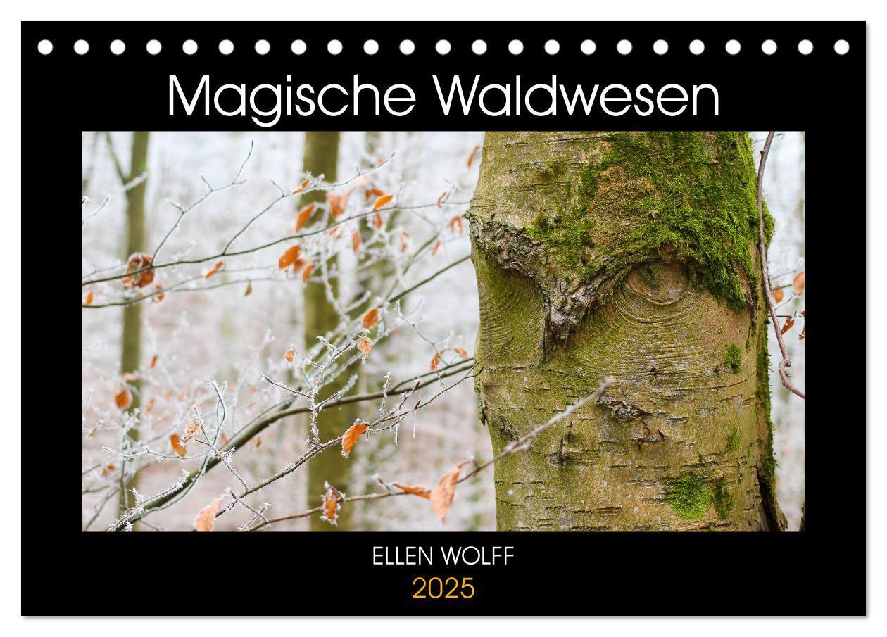 Cover: 9783435171842 | Magische Waldwesen (Tischkalender 2025 DIN A5 quer), CALVENDO...