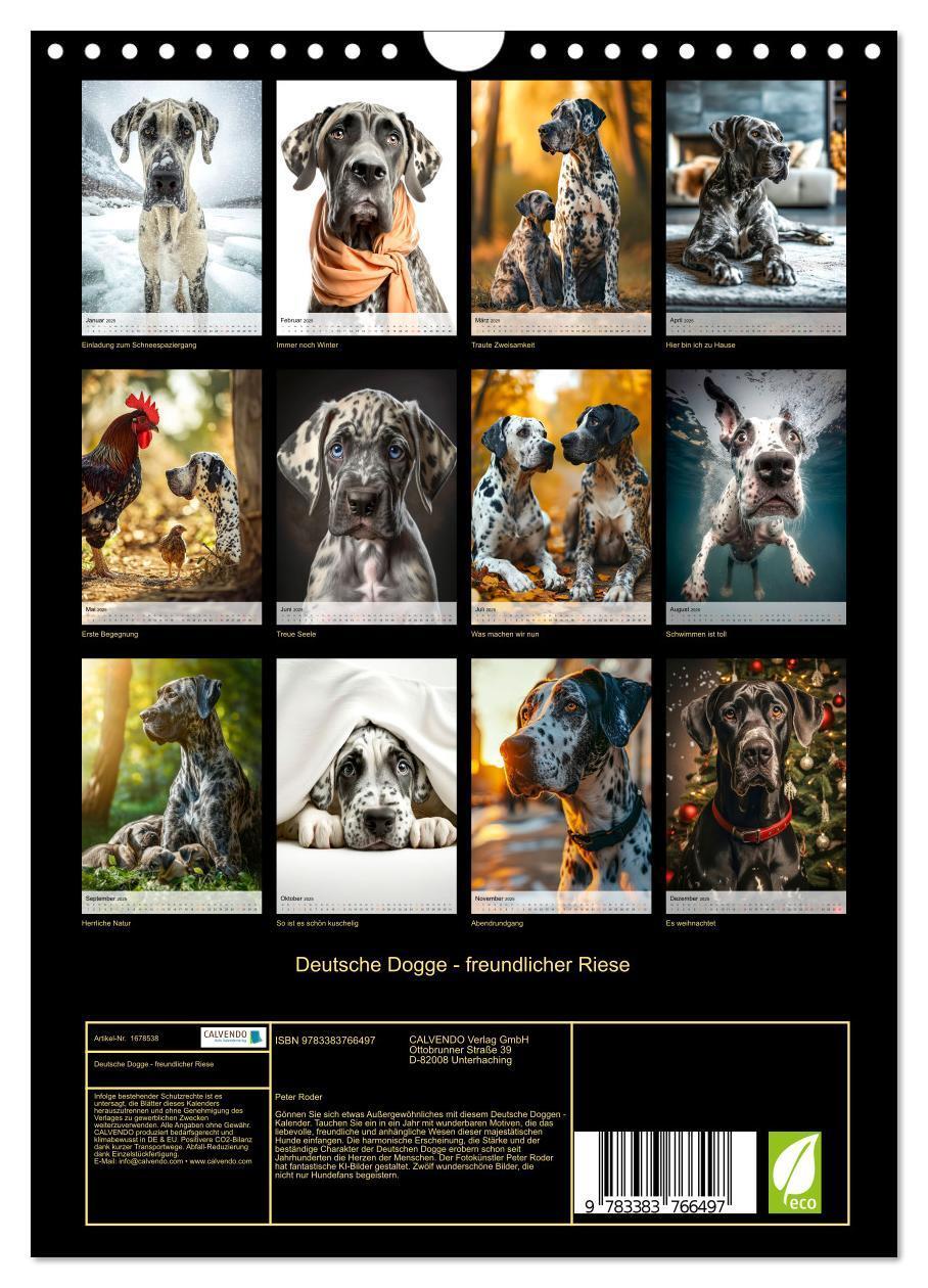 Bild: 9783383766497 | Deutsche Dogge - freundlicher Riese (Wandkalender 2025 DIN A4...