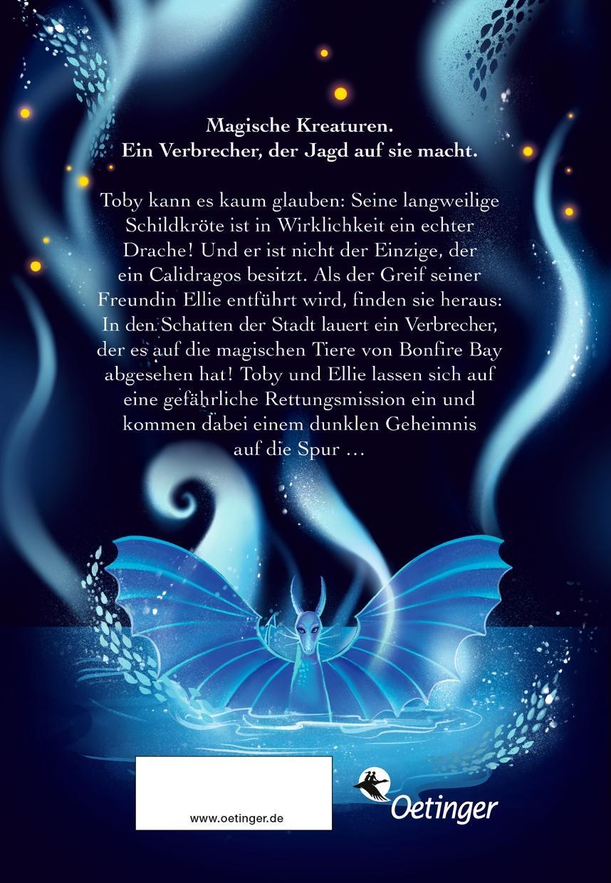 Rückseite: 9783751203944 | Calidragos 1. Der Ruf des Drachen | Viktoria Etzel | Buch | Calidragos