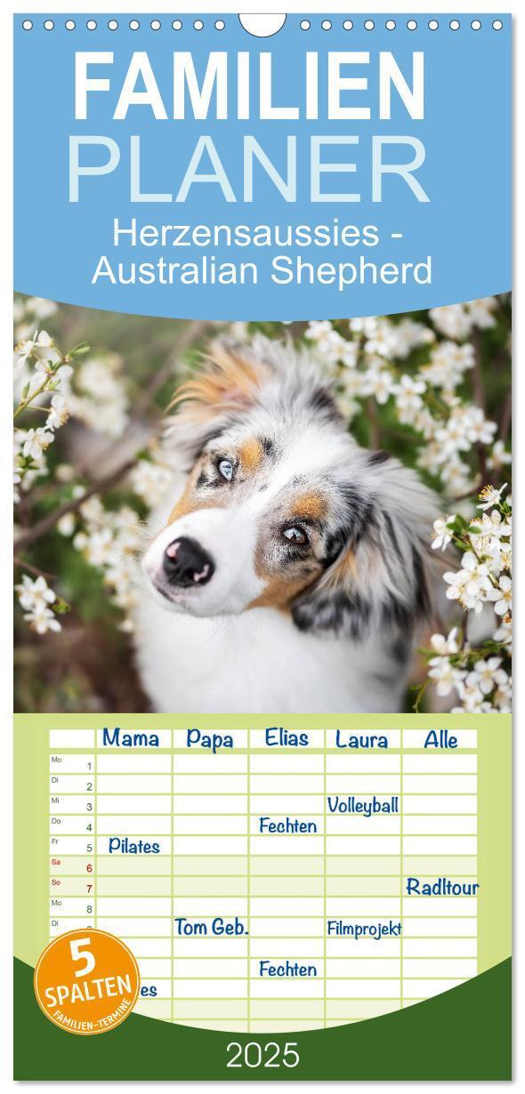 Cover: 9783457101308 | Familienplaner 2025 - Herzensaussies - Australian Shepherd mit 5...