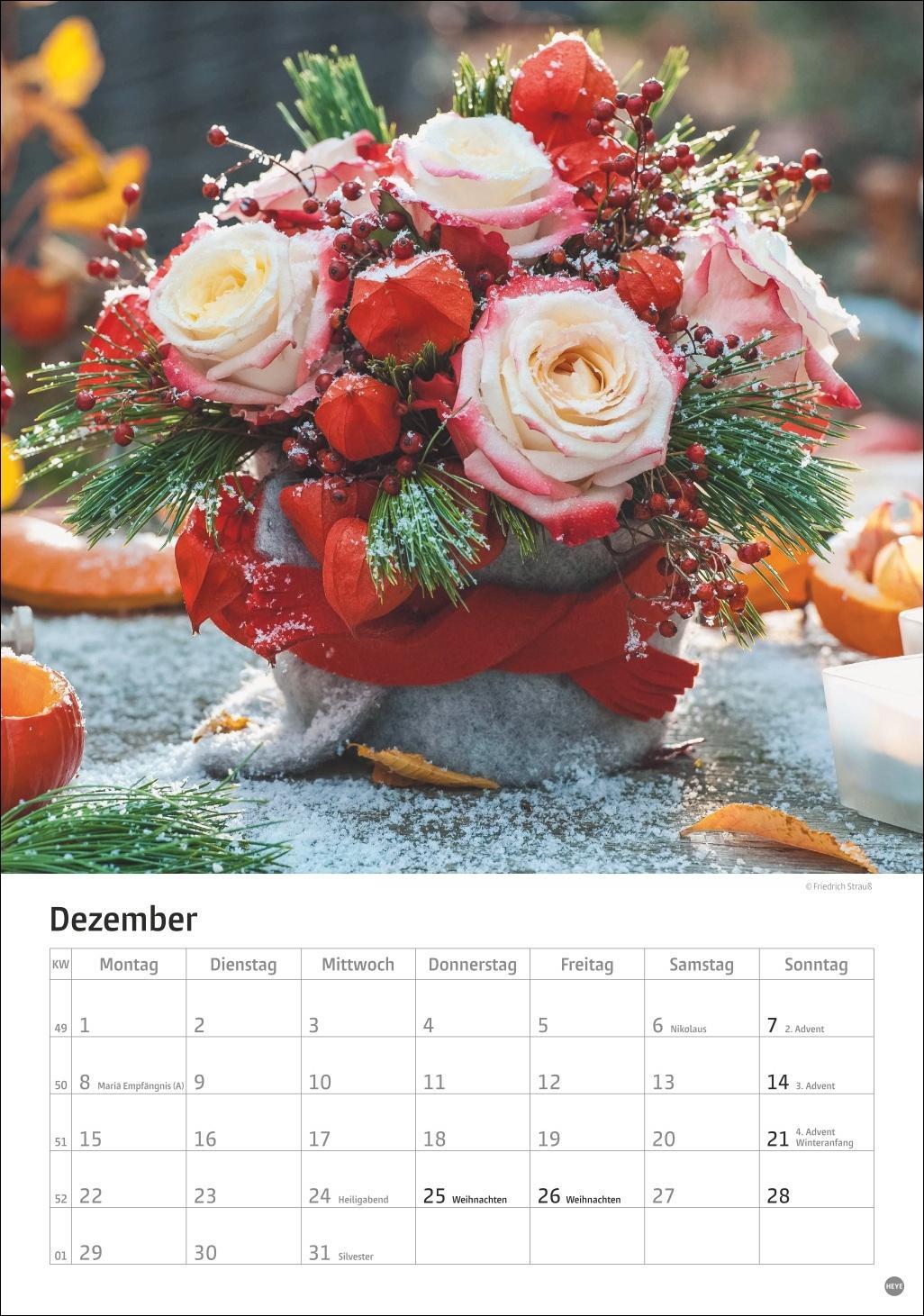 Bild: 9783756405596 | Rosenpracht Kalender 2025 | Heye | Kalender | Spiralbindung | 13 S.