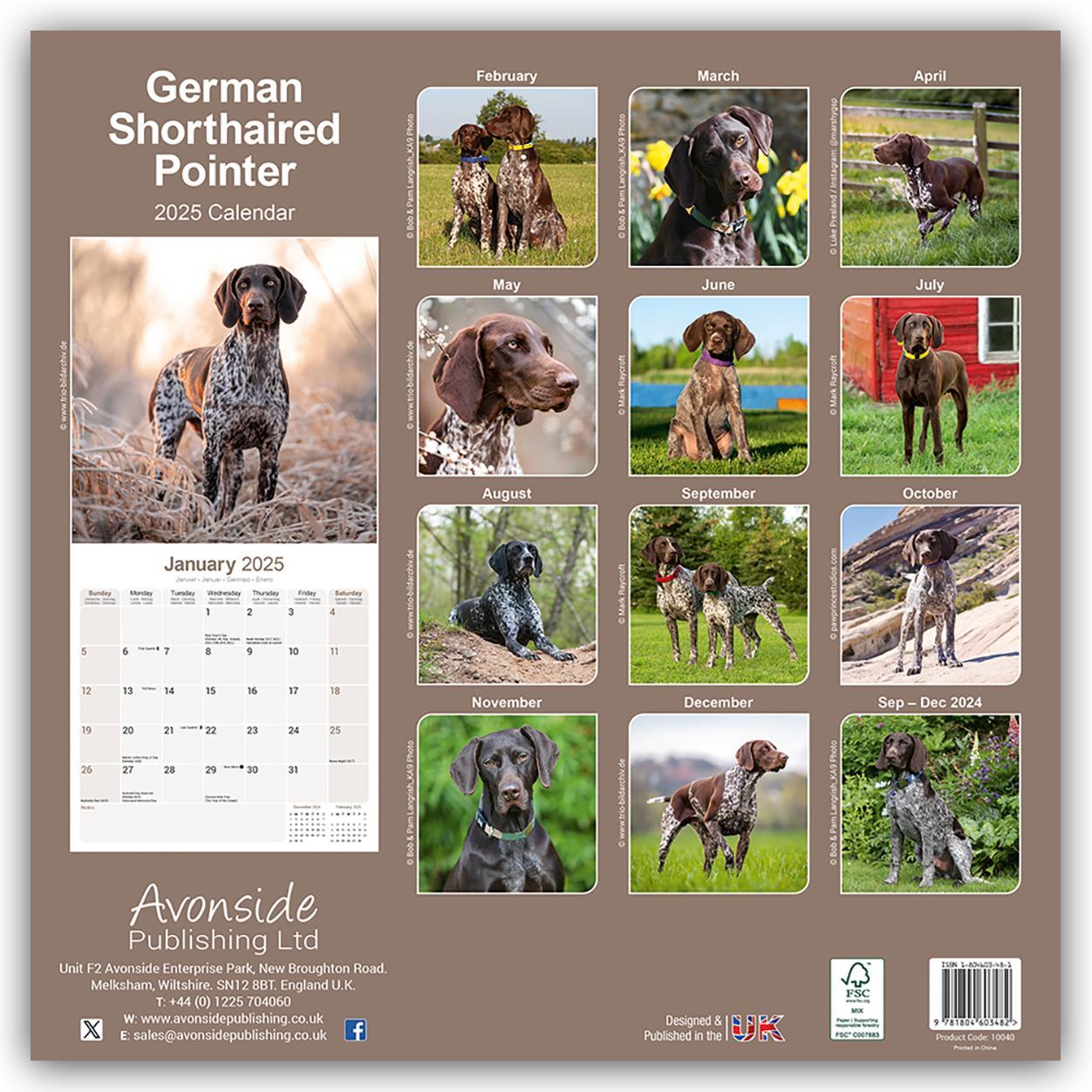 Rückseite: 9781804603482 | German Shorthaired Pointer - Deutsch Kurzhaar 2025 - 16-Monatskalender