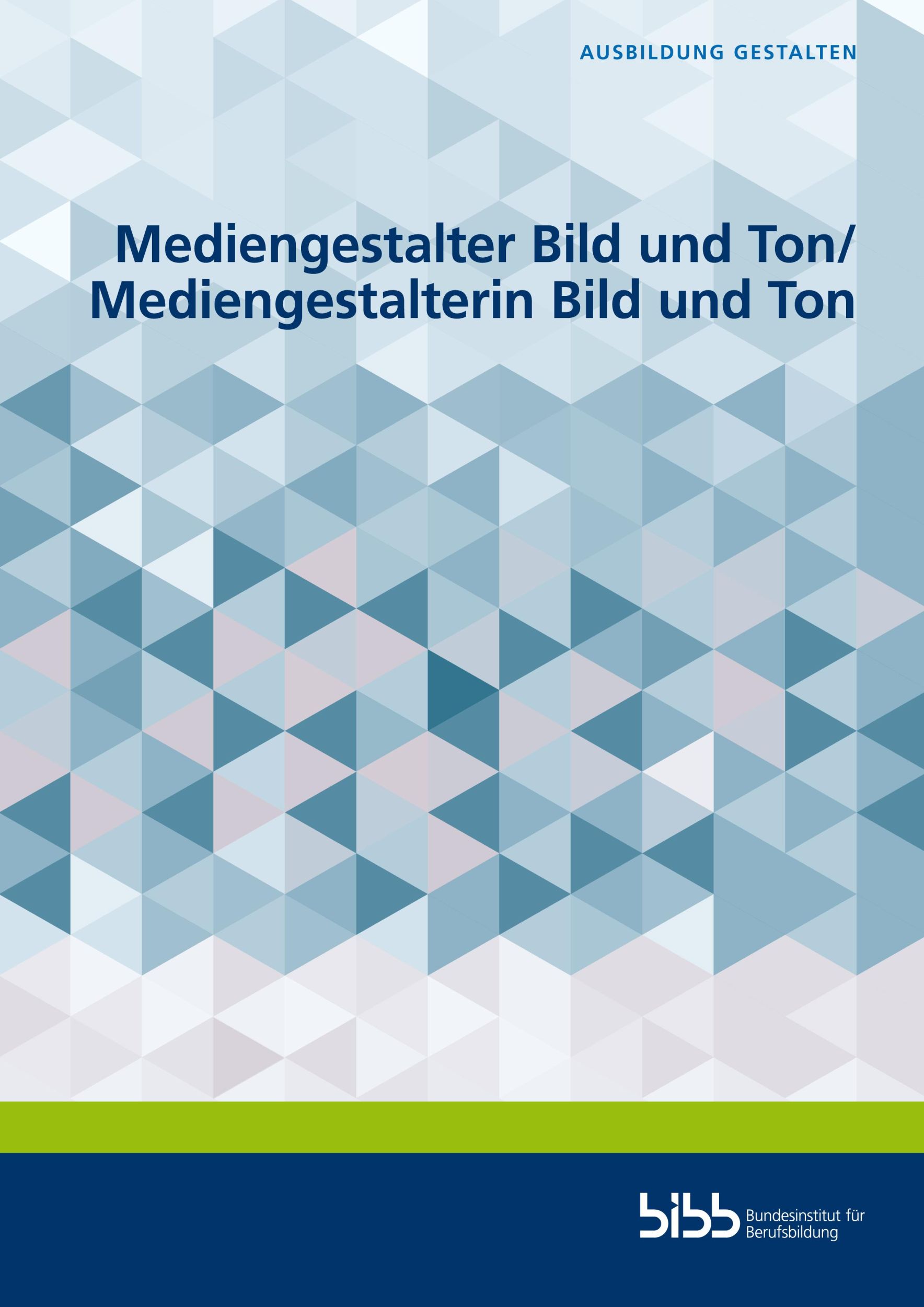 Cover: 9783847429654 | Mediengestalter Bild und Ton/Mediengestalterin Bild und Ton | Buch