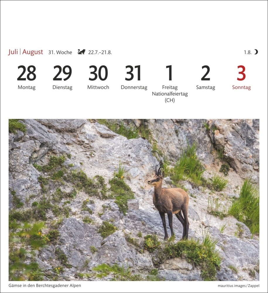 Bild: 9783840033339 | Alpen Sehnsuchtskalender 2025 - Wochenkalender mit 53 Postkarten