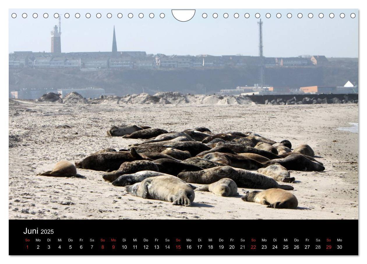 Bild: 9783435769063 | Helgoland (Wandkalender 2025 DIN A4 quer), CALVENDO Monatskalender