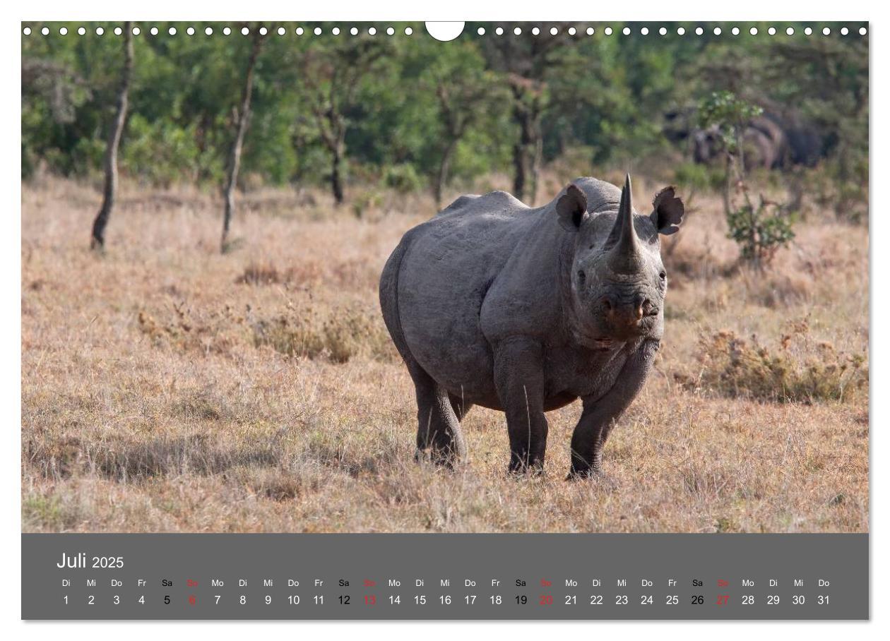 Bild: 9783435833900 | Ich träumte von Afrika (Wandkalender 2025 DIN A3 quer), CALVENDO...