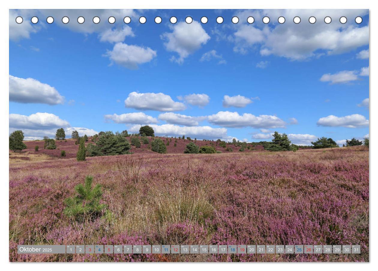 Bild: 9783435457632 | Lüneburger Heide - Faszinierend schön (Tischkalender 2025 DIN A5...