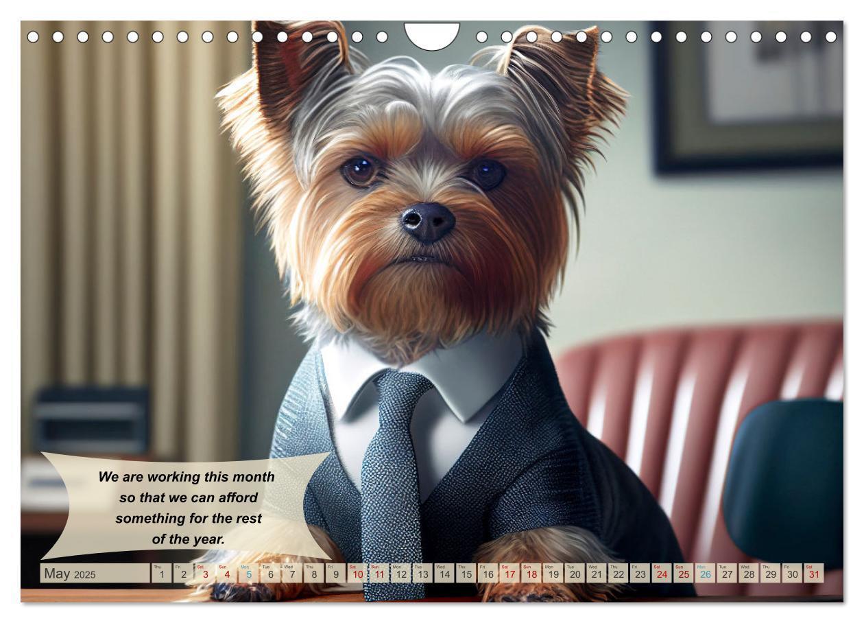 Bild: 9781325986002 | Great fun for Yorkshire Terrier lovers (Wall Calendar 2025 DIN A4...