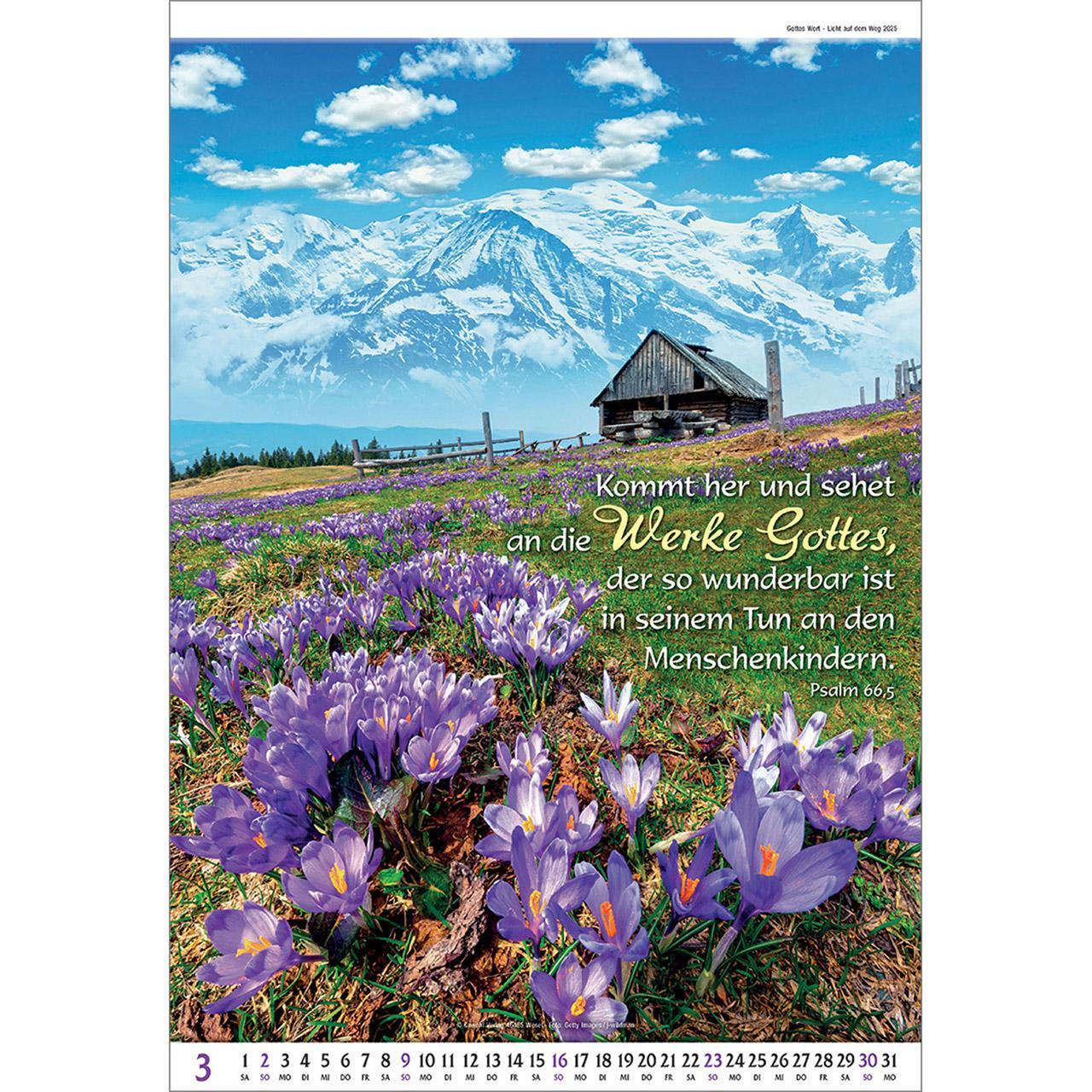 Bild: 9783754837054 | Gottes Wort - Licht auf dem Weg 2025 | Wandkalender | Kalender | 14 S.