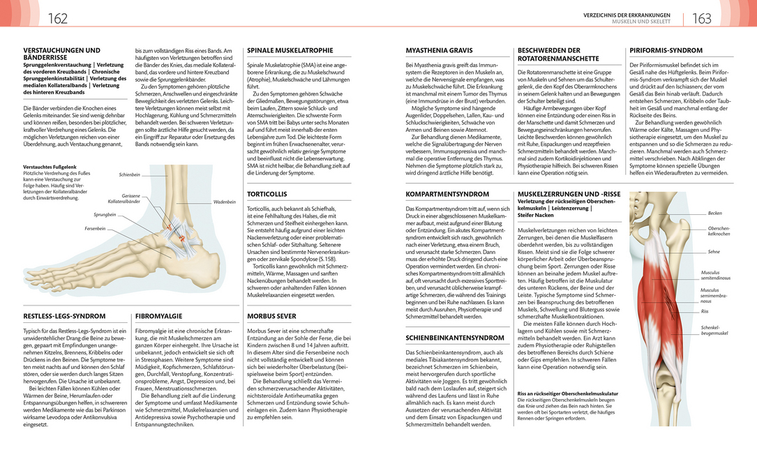 Bild: 9783831036172 | Praxisbuch Selbstdiagnose | DK Verlag | Taschenbuch | Deutsch | 2018