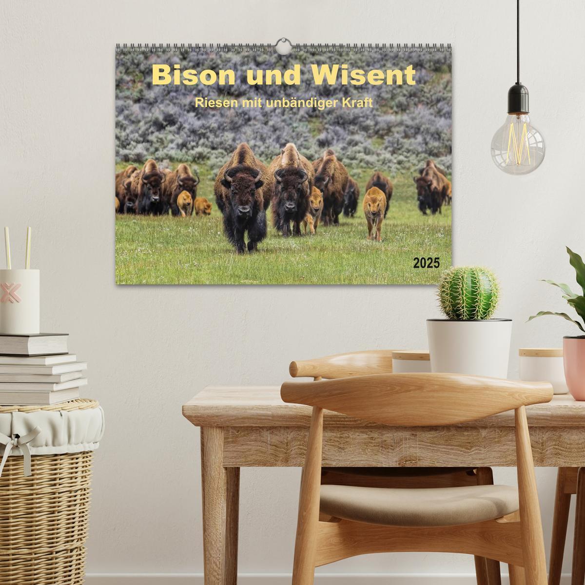 Bild: 9783435580149 | Bison und Wisent - Riesen mit unbändiger Kraft (Wandkalender 2025...