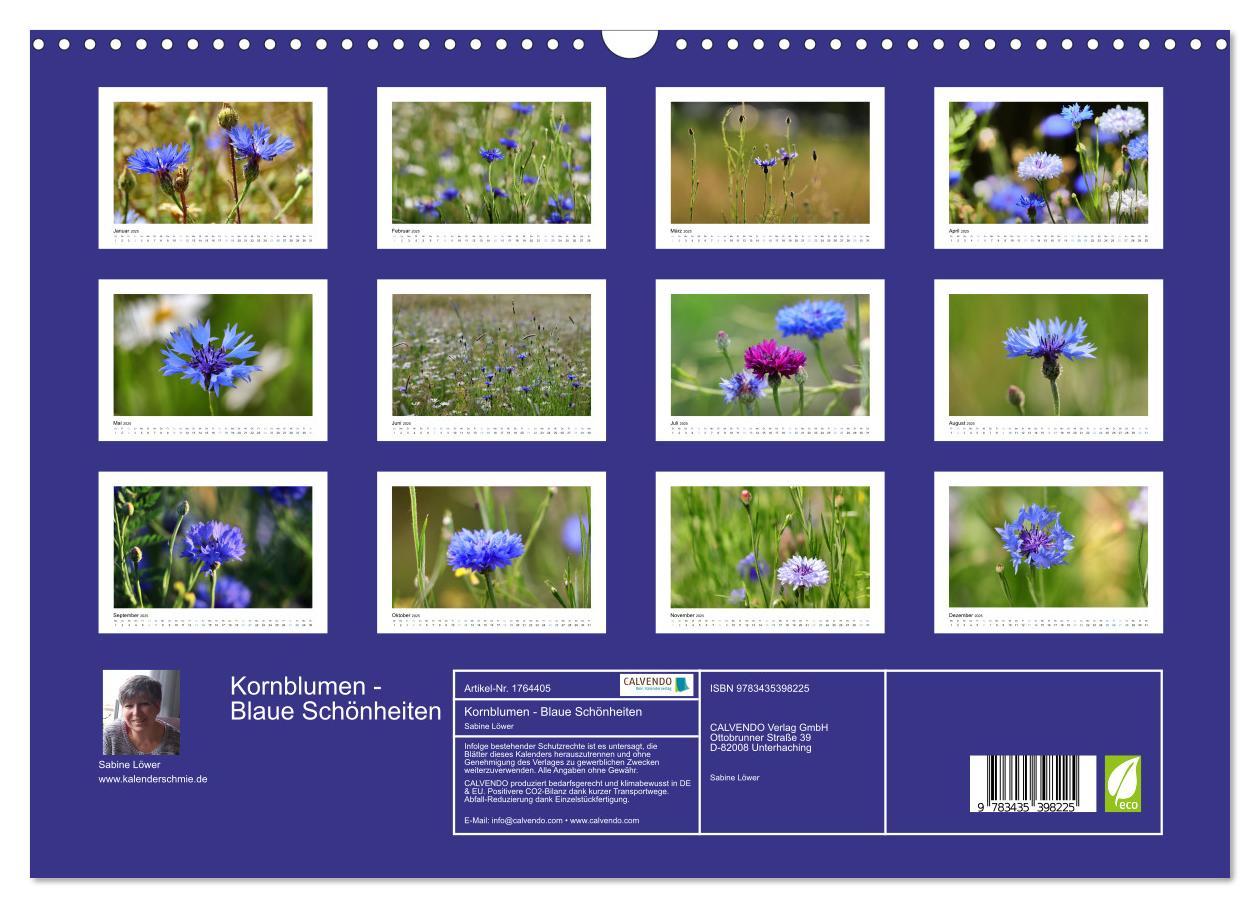 Bild: 9783435398225 | Kornblumen - Blaue Schönheiten (Wandkalender 2025 DIN A3 quer),...