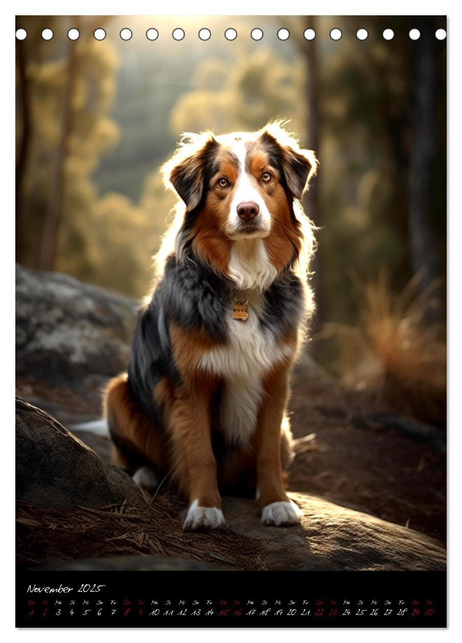 Bild: 9783435877249 | Australian Shepherd (Tischkalender 2025 DIN A5 hoch), CALVENDO...