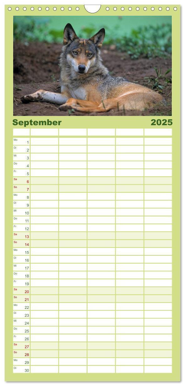 Bild: 9783457117606 | Familienplaner 2025 - Tiere des Waldes mit 5 Spalten (Wandkalender,...