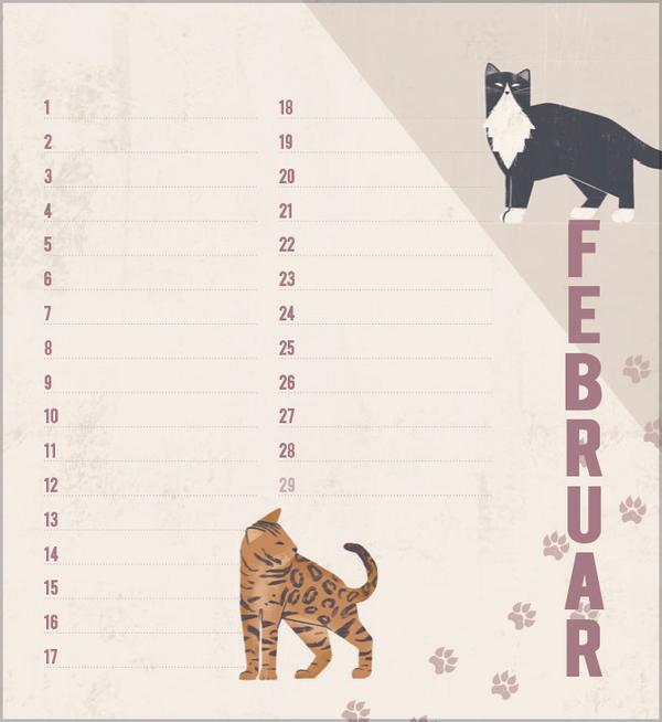 Bild: 9783731880509 | Geburtstagskalender Cats | Verlag Korsch | Kalender | 13 S. | Deutsch