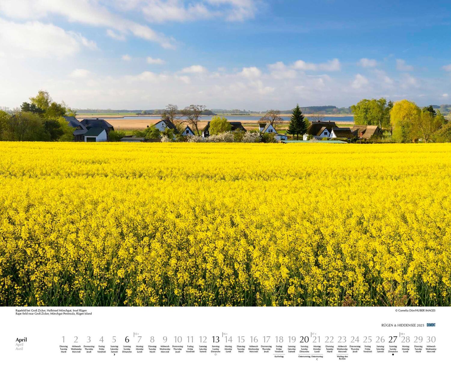 Bild: 4250809652726 | Rügen &amp; Hiddensee 2025 - Wandkalender 52 x 42,5 cm - Spiralbindung