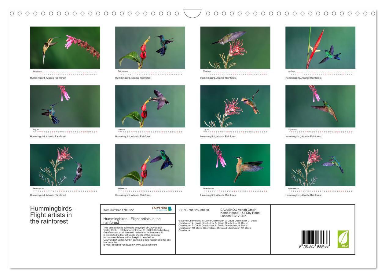 Bild: 9781325938438 | Hummingbirds - Flight artists in the rainforest (Wall Calendar 2025...