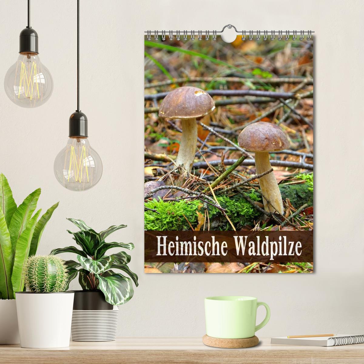 Bild: 9783457054857 | Heimische Waldpilze (Wandkalender 2025 DIN A4 hoch), CALVENDO...