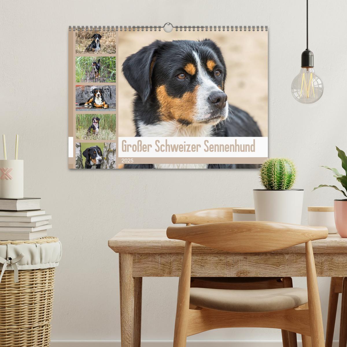 Bild: 9783435332892 | Großer Schweizer Sennenhund (Wandkalender 2025 DIN A3 quer),...