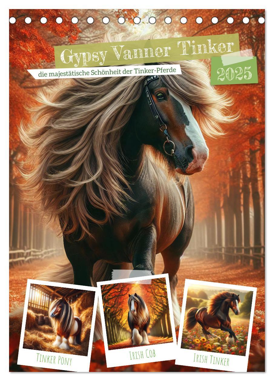 Cover: 9783435843800 | Gypsy Vanner Tinker - die majestätische Schönheit der Tinker-Pferde...